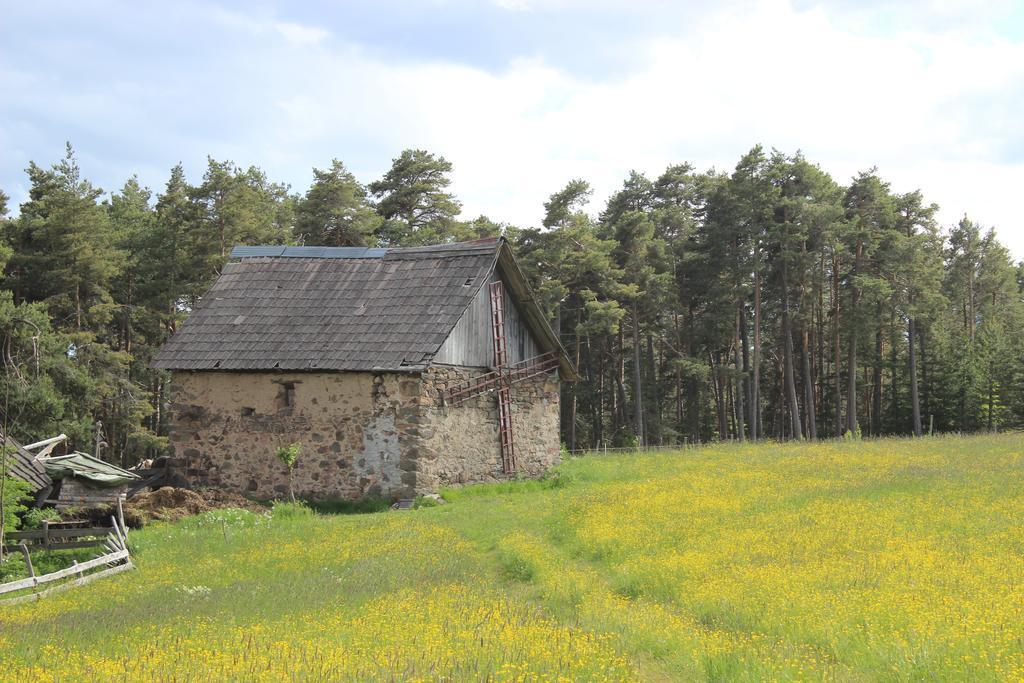 Wiesenhof Collalbo Kültér fotó