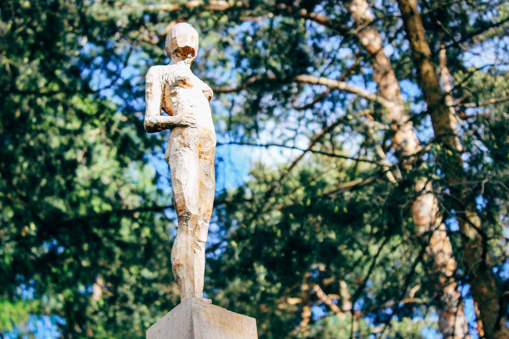 Wiesenhof Collalbo Kültér fotó